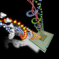DNA chip